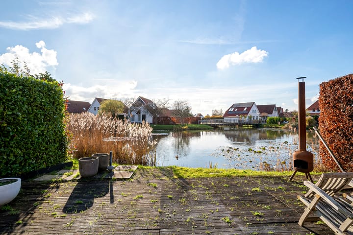 Foto 33 van Watervogel 33