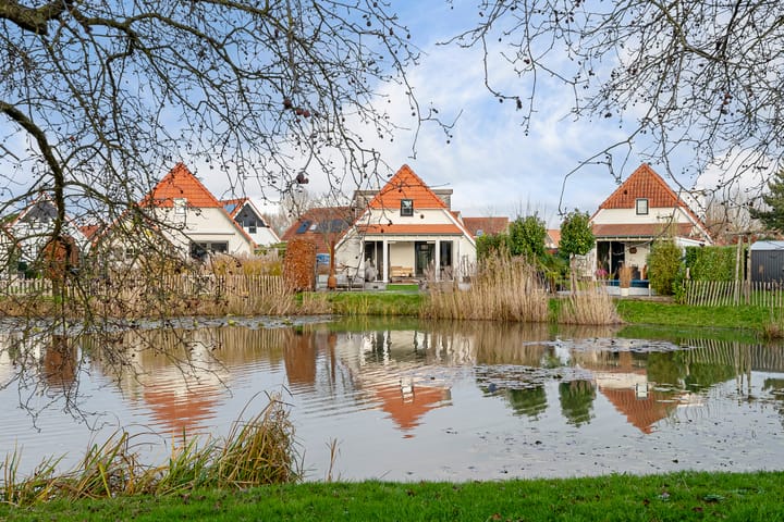 Foto 35 van Watervogel 33