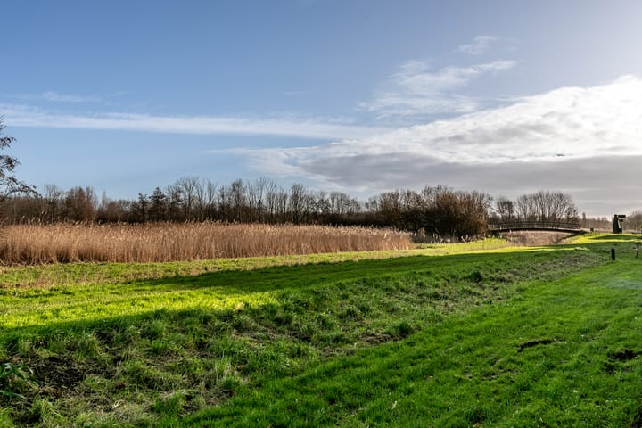 Foto 34 van Kluut 17