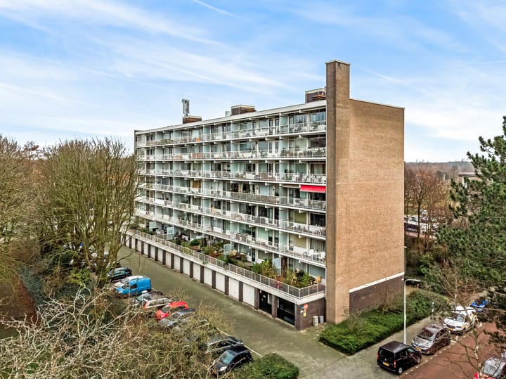 Foto 1 van Suzannaland 592