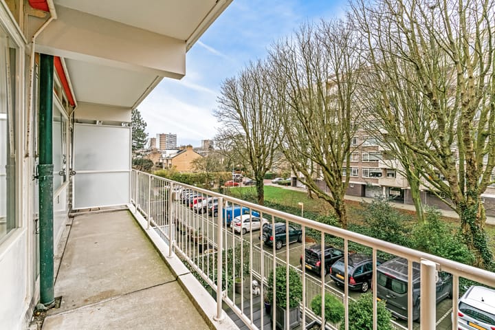 Foto 3 van Suzannaland 592