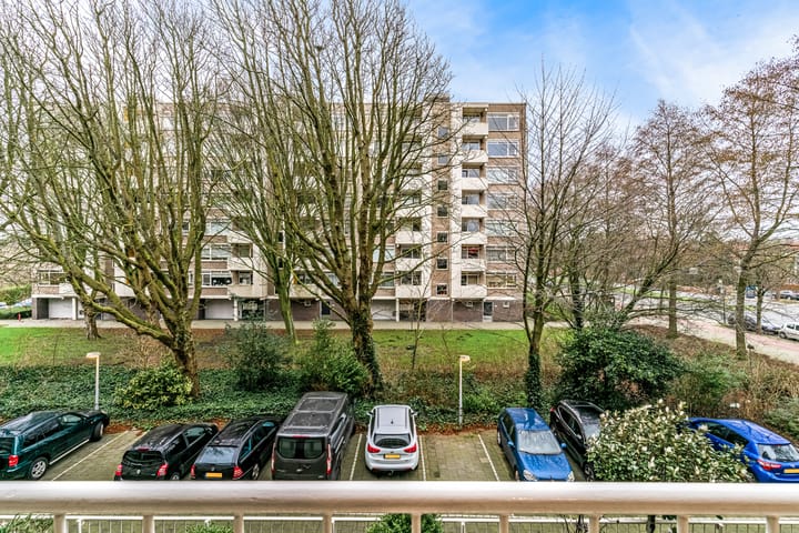 Foto 4 van Suzannaland 592