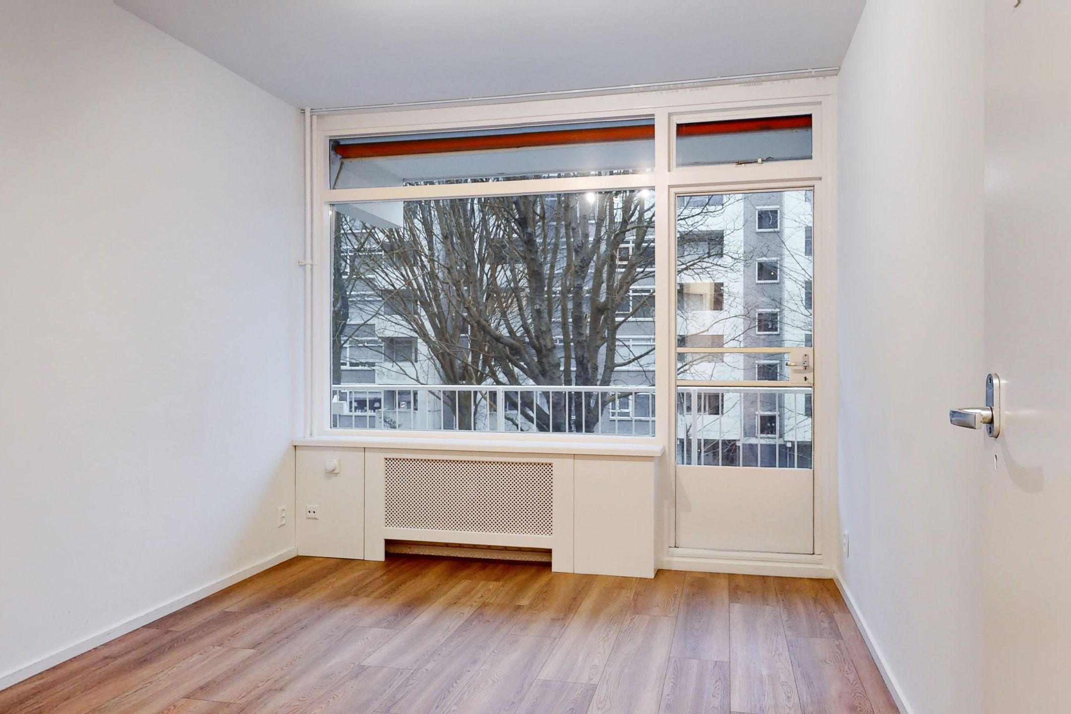 Photo 12 of Suzannaland 592