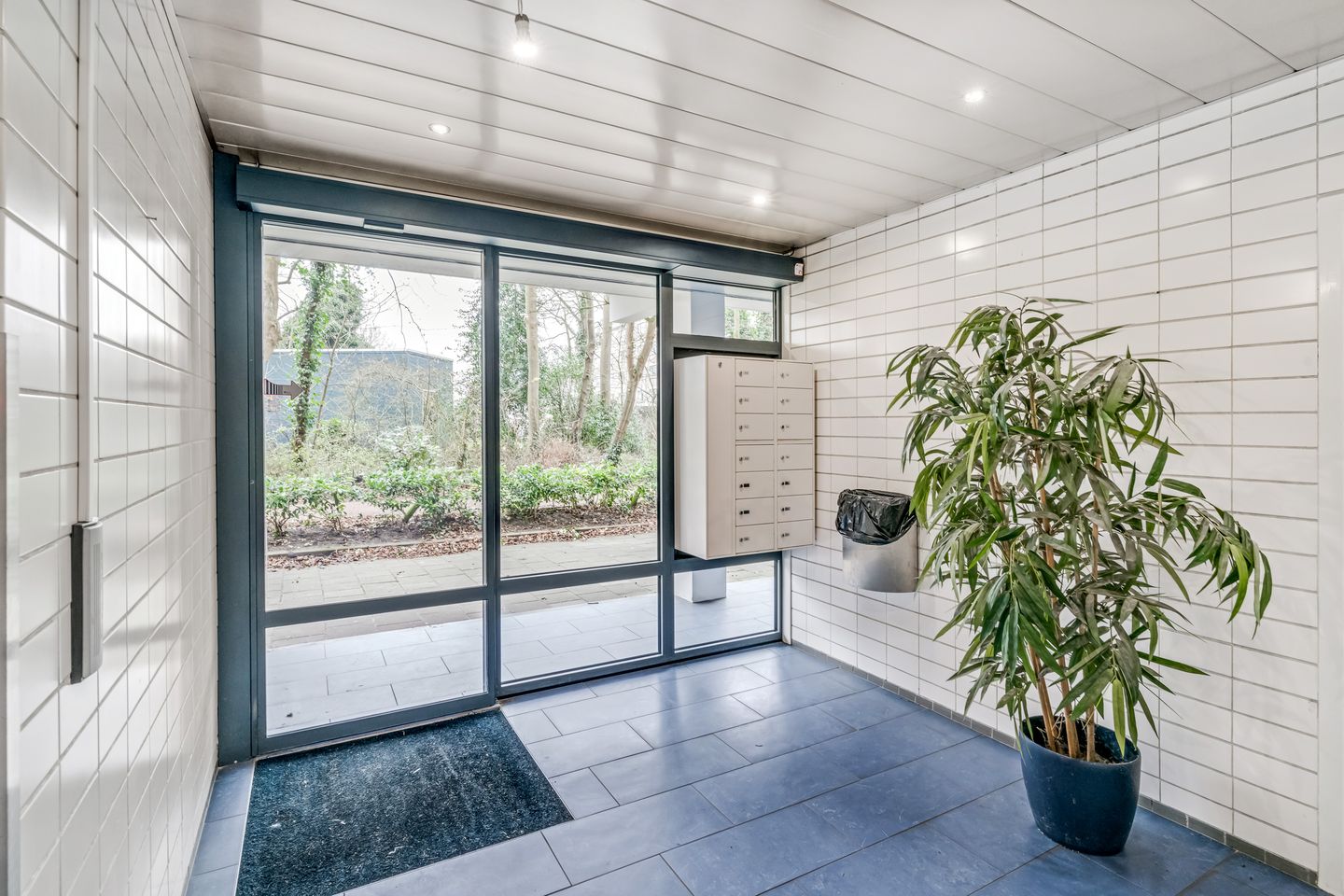 Photo 19 of Suzannaland 592