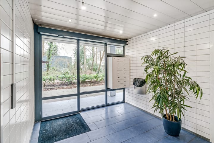 Foto 19 van Suzannaland 592