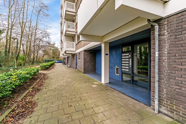 Foto 20 van Suzannaland 592