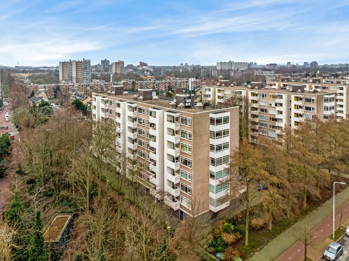 Foto 22 van Suzannaland 592