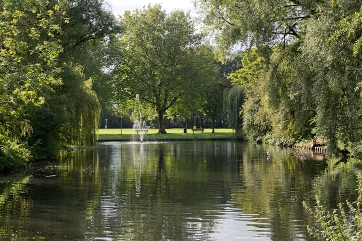 Foto 9 van Nauerna 42