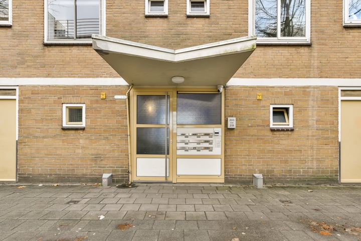 Meander 207