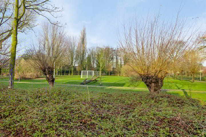 Foto 38 van Calsstraat 118