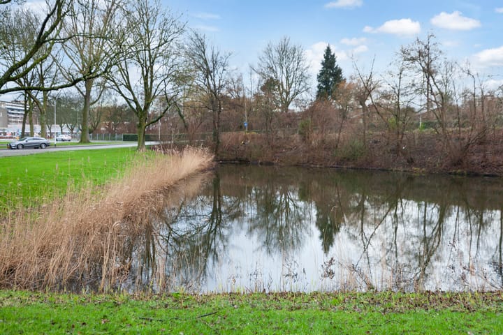 Foto 28 van Graaf Janstraat 170