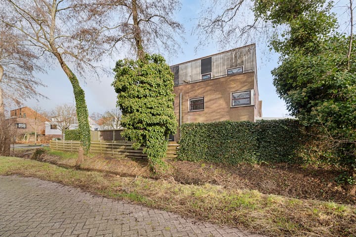 Foto 4 van Citroenvlinder 168