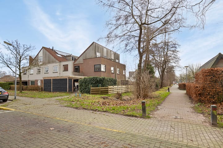 Foto 3 van Citroenvlinder 168