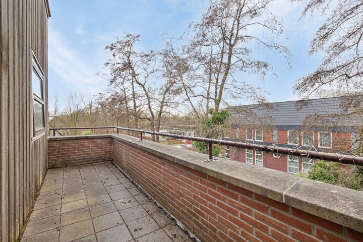 Photo 32 of Citroenvlinder 168