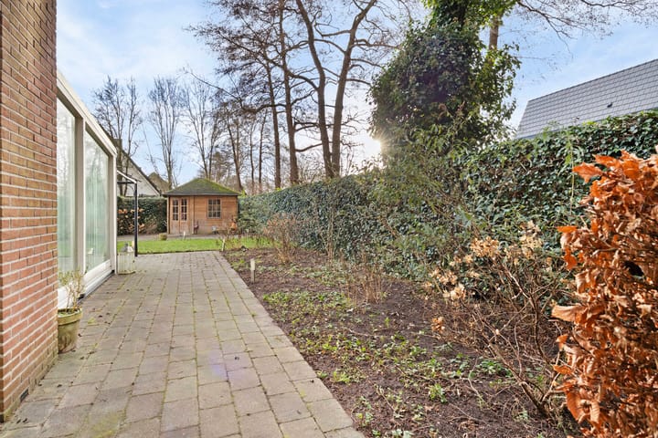 Photo 38 of Citroenvlinder 168