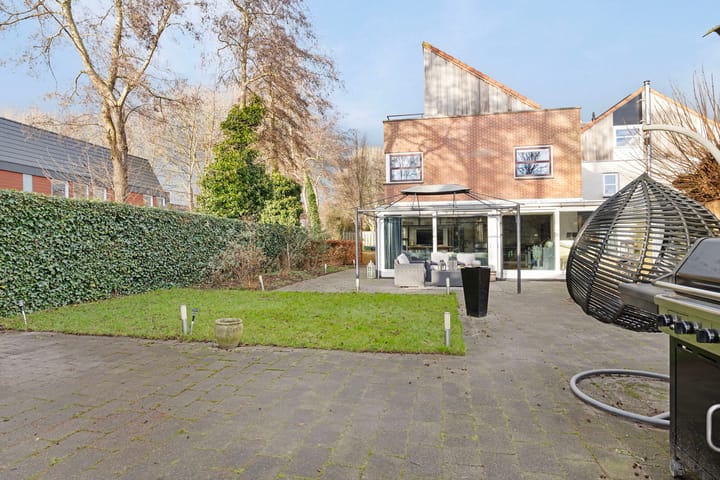 Photo 42 of Citroenvlinder 168