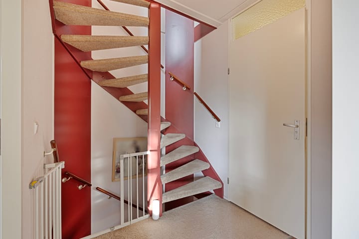 Photo 22 of Citroenvlinder 168