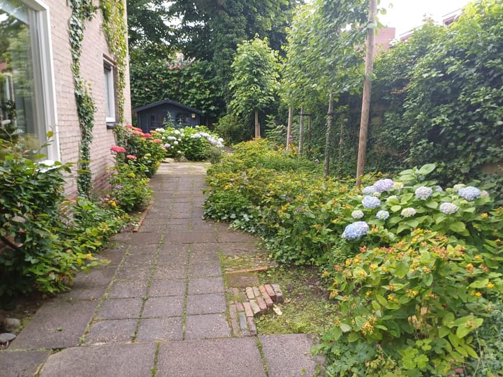 Foto 31 van Prinses Irenestraat 11