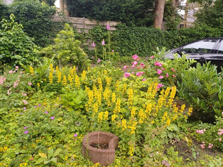 Foto 32 van Prinses Irenestraat 11