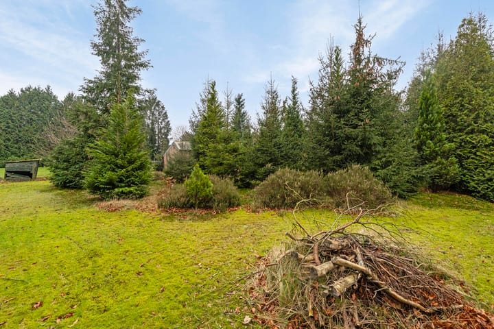 Foto 51 van Sparrenlaan 6-A