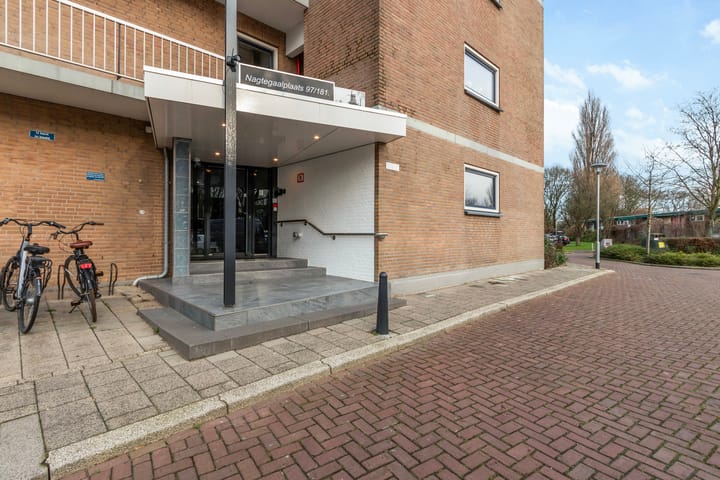 Foto 2 van Nagtegaalplaats 155