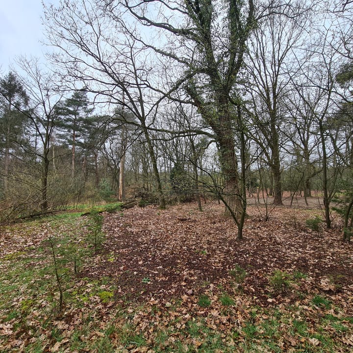 Foto 5 van Loobeekweg