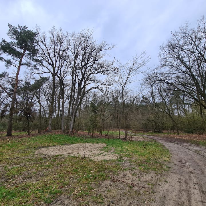 Foto 6 van Loobeekweg