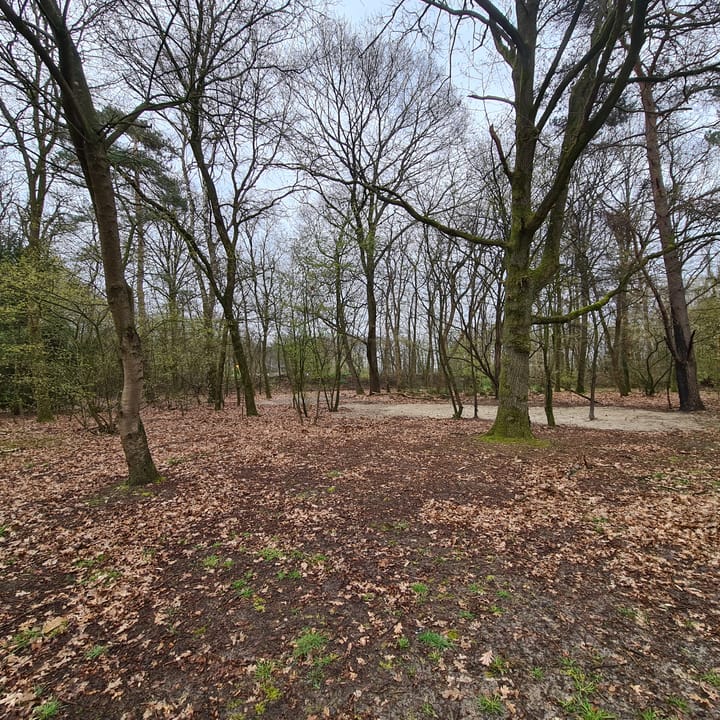 Foto 7 van Loobeekweg