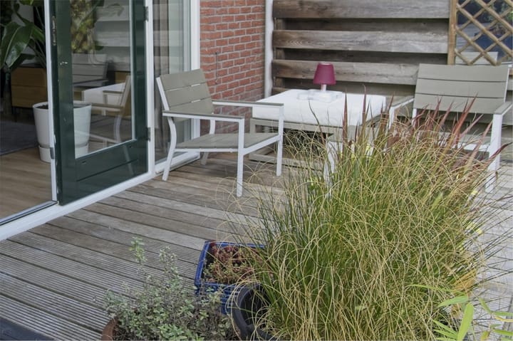 Foto 36 van Anfieldroad 55