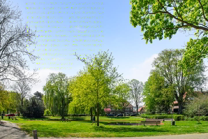 Foto 63 van Prins Hendriklaan 7