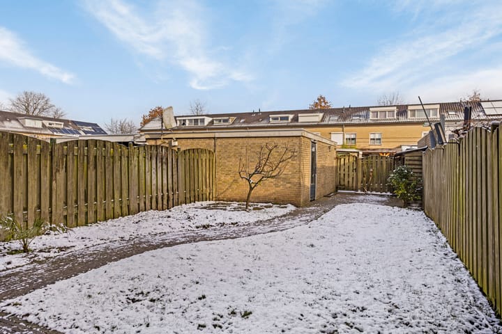 Foto 4 van van Wassenaerstraat 12