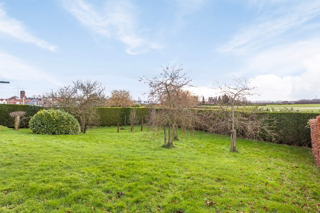 Foto 32 van Weststraat 43