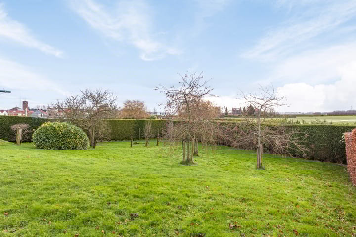 Foto 32 van Weststraat 43