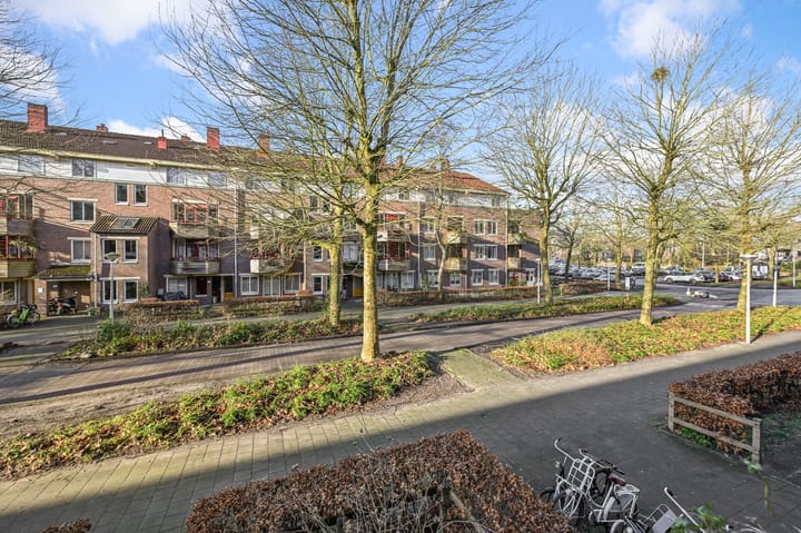 Foto 10 van Vianenstraat 113