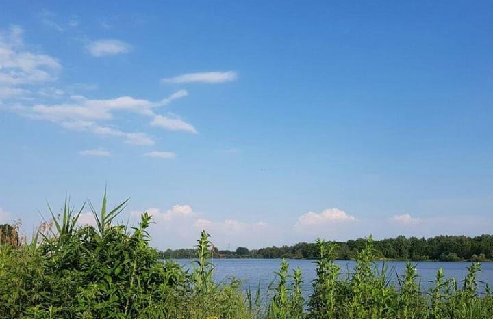 Foto 21 van Vianenstraat 113