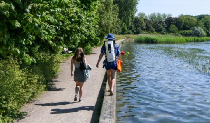 Foto 22 van Vianenstraat 113