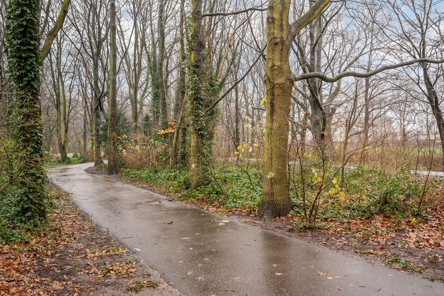 Photo 29 of Julianalaan 74-A