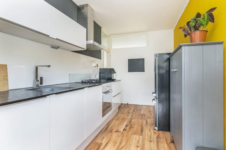 Foto 12 van Dukdalf 131