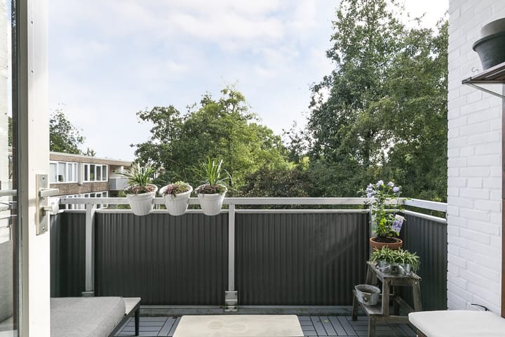 Foto 20 van Dukdalf 131