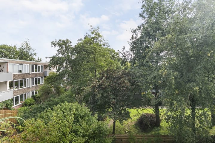 Foto 23 van Dukdalf 131