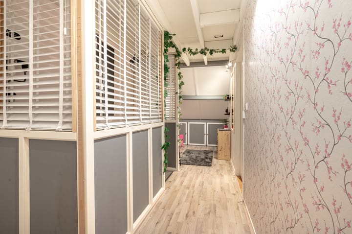 Foto 32 van Kogge 07 32