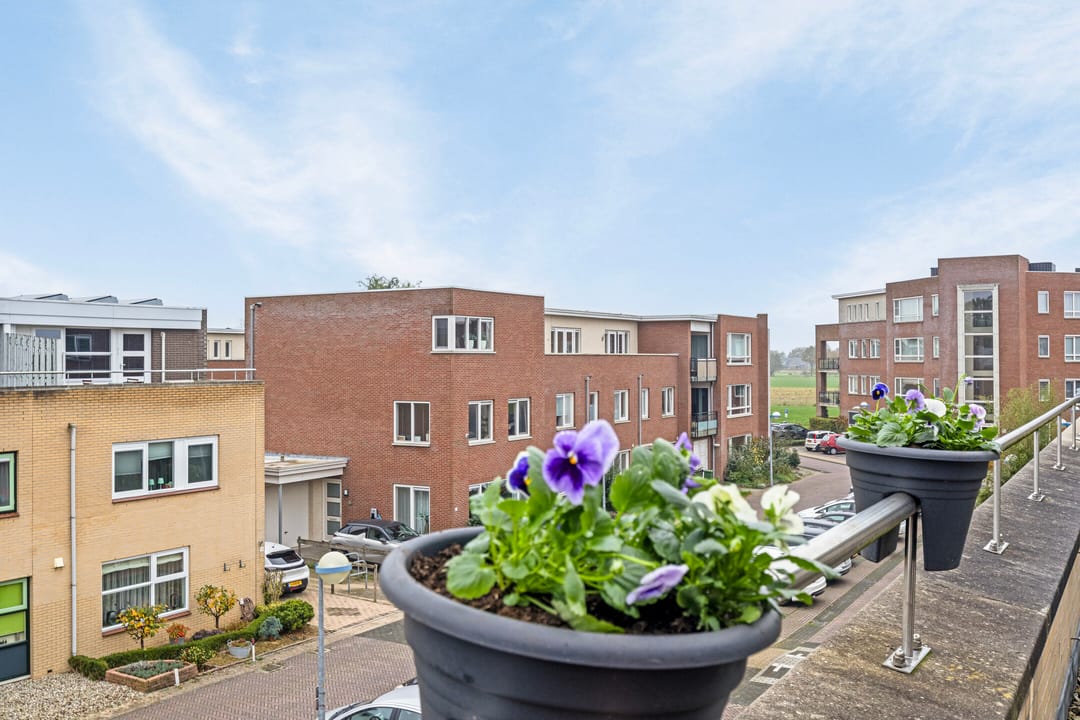 Foto 28 van Noweestraat 6