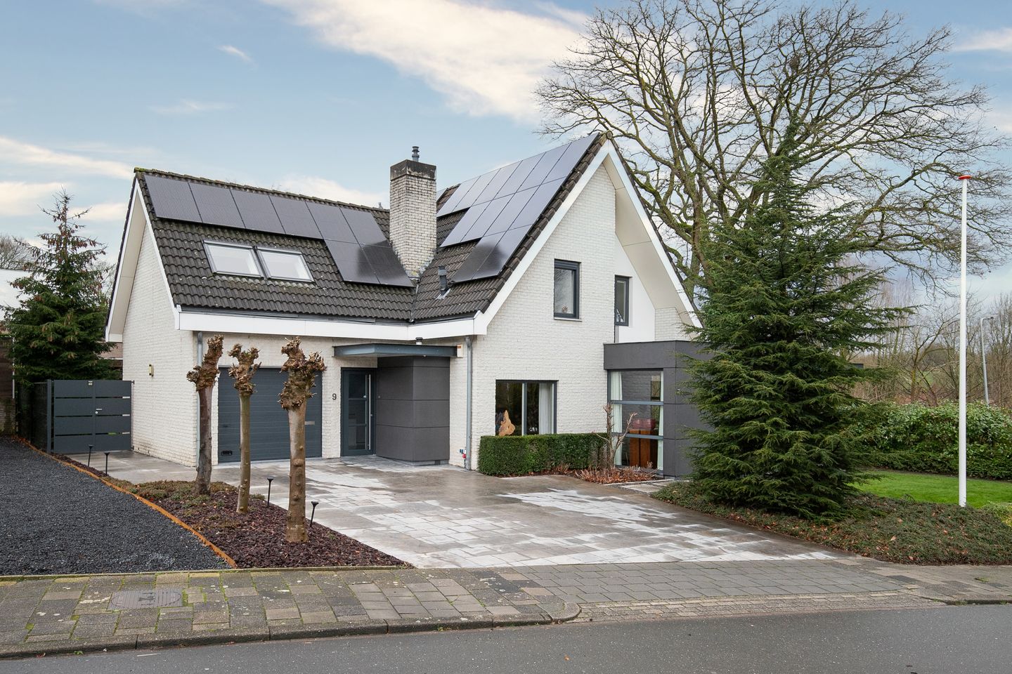 Foto 1 van Pelikaanstraat 9