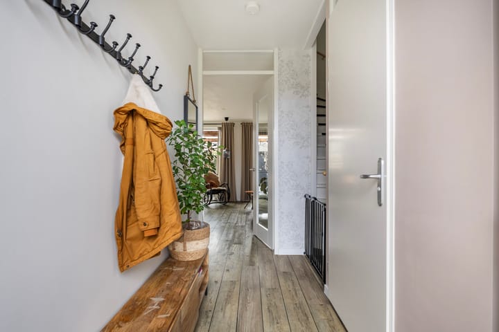 Foto 4 van Lysterbeipaad 9