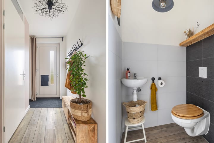 Foto 12 van Lysterbeipaad 9