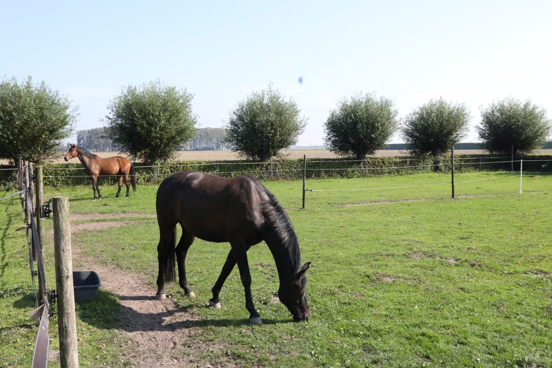 Photo 71 of Derde Weg 2