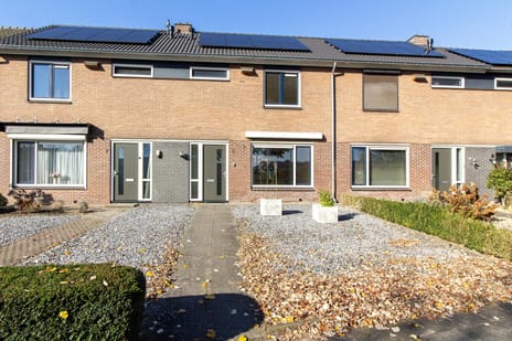 undefined main image