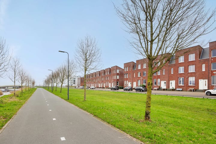 Foto 2 van Mosasingel 119