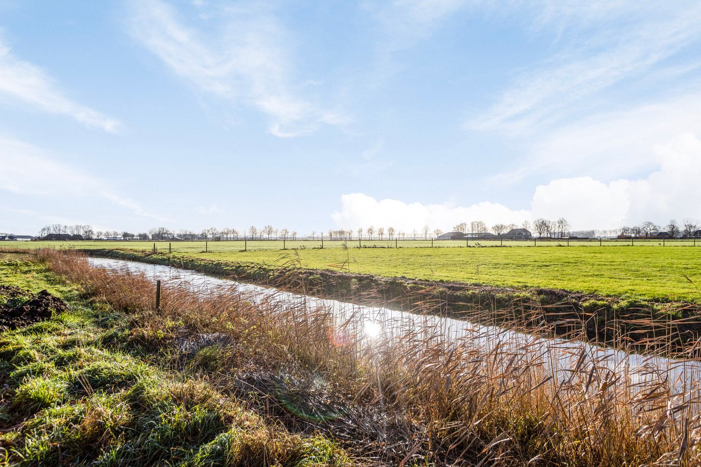 Foto 5 van Hoefstraat 8