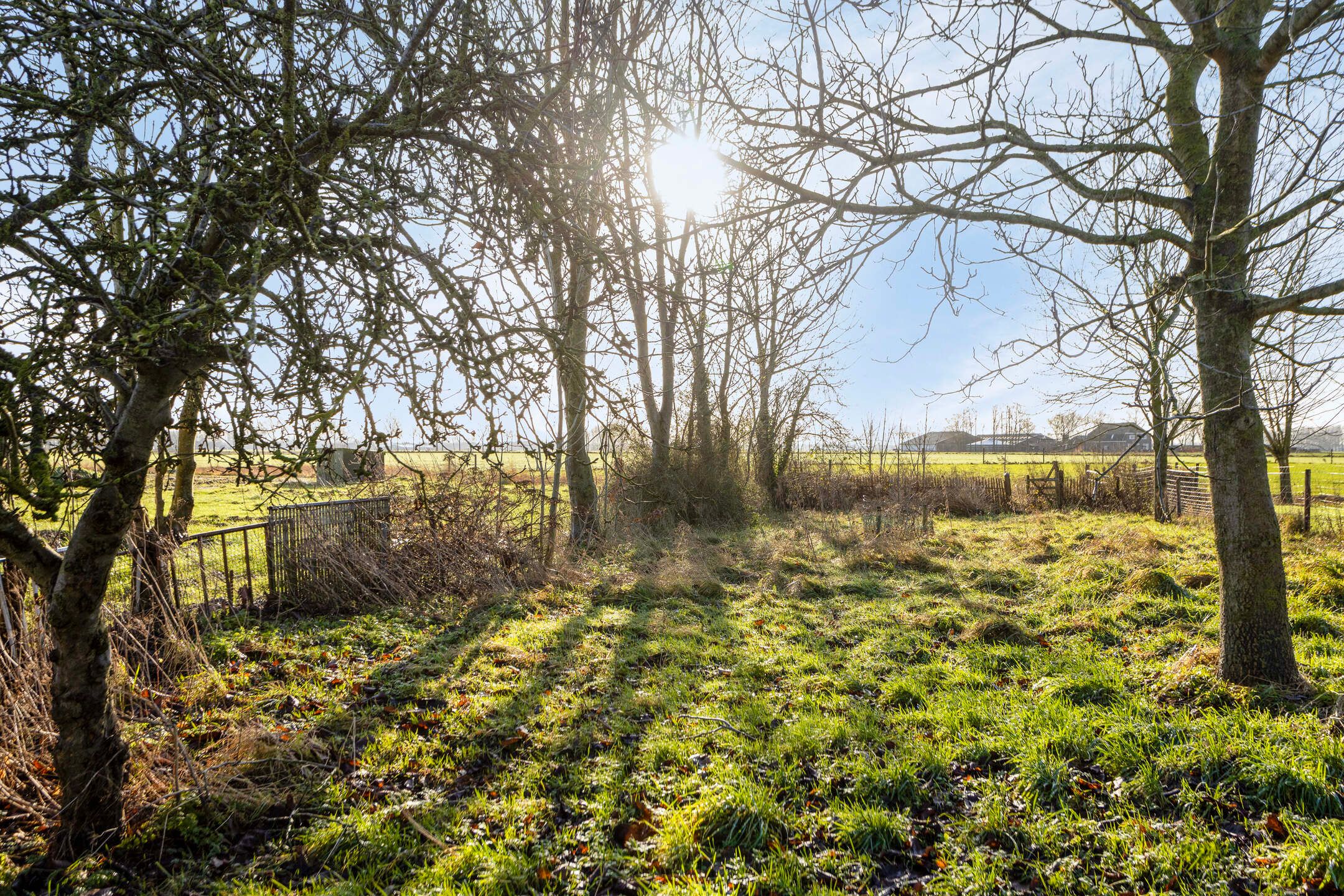 Foto 36 van Hoefstraat 8